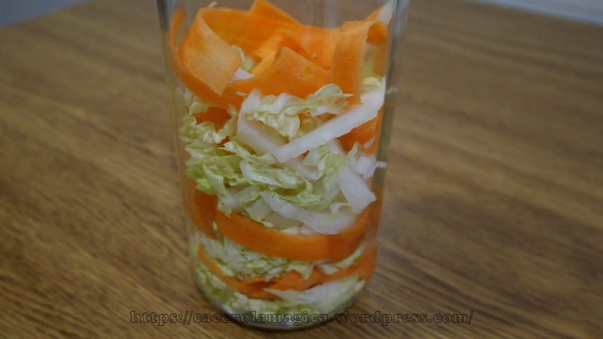 Pickles de col china y zanahoria02