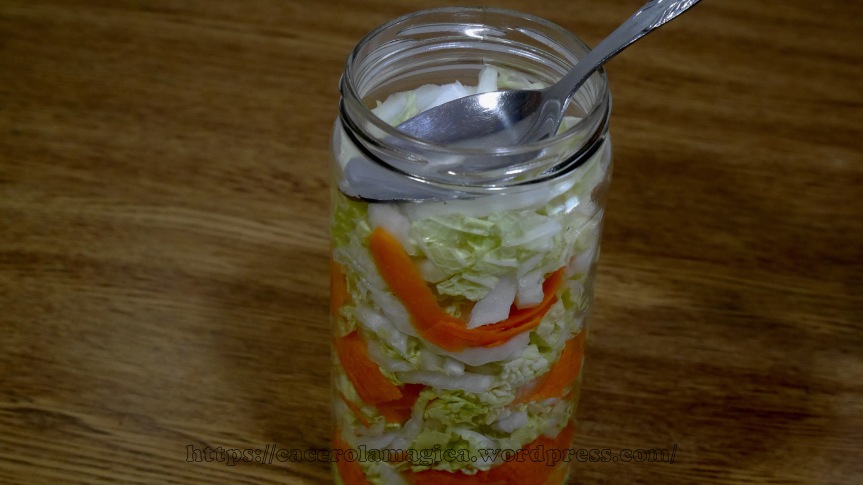 Pickles de col china y zanahoria03