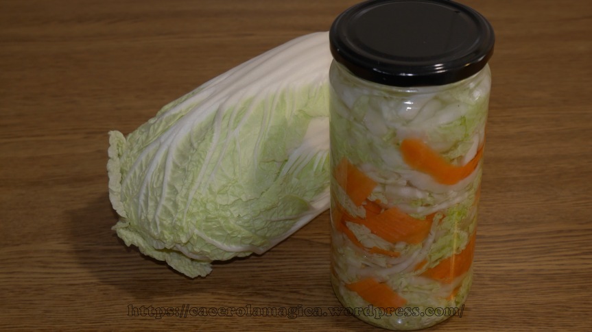 Pickles de col china y zanahoria05